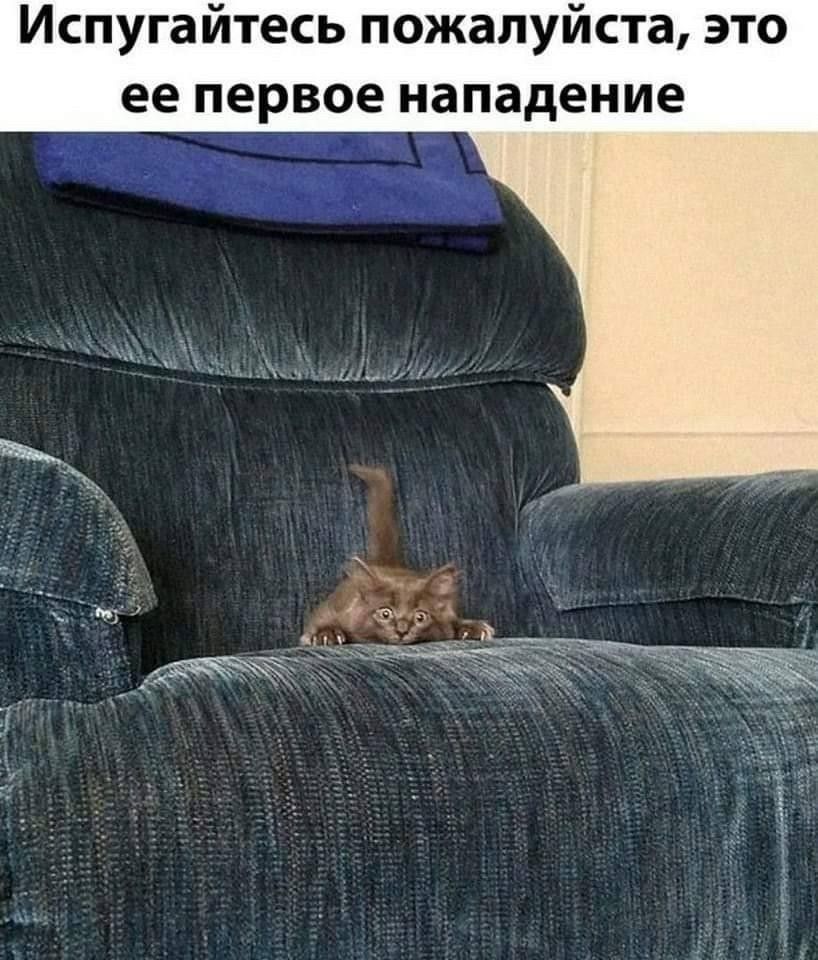 Испугайтесь пожалуйста это ее первое нападение