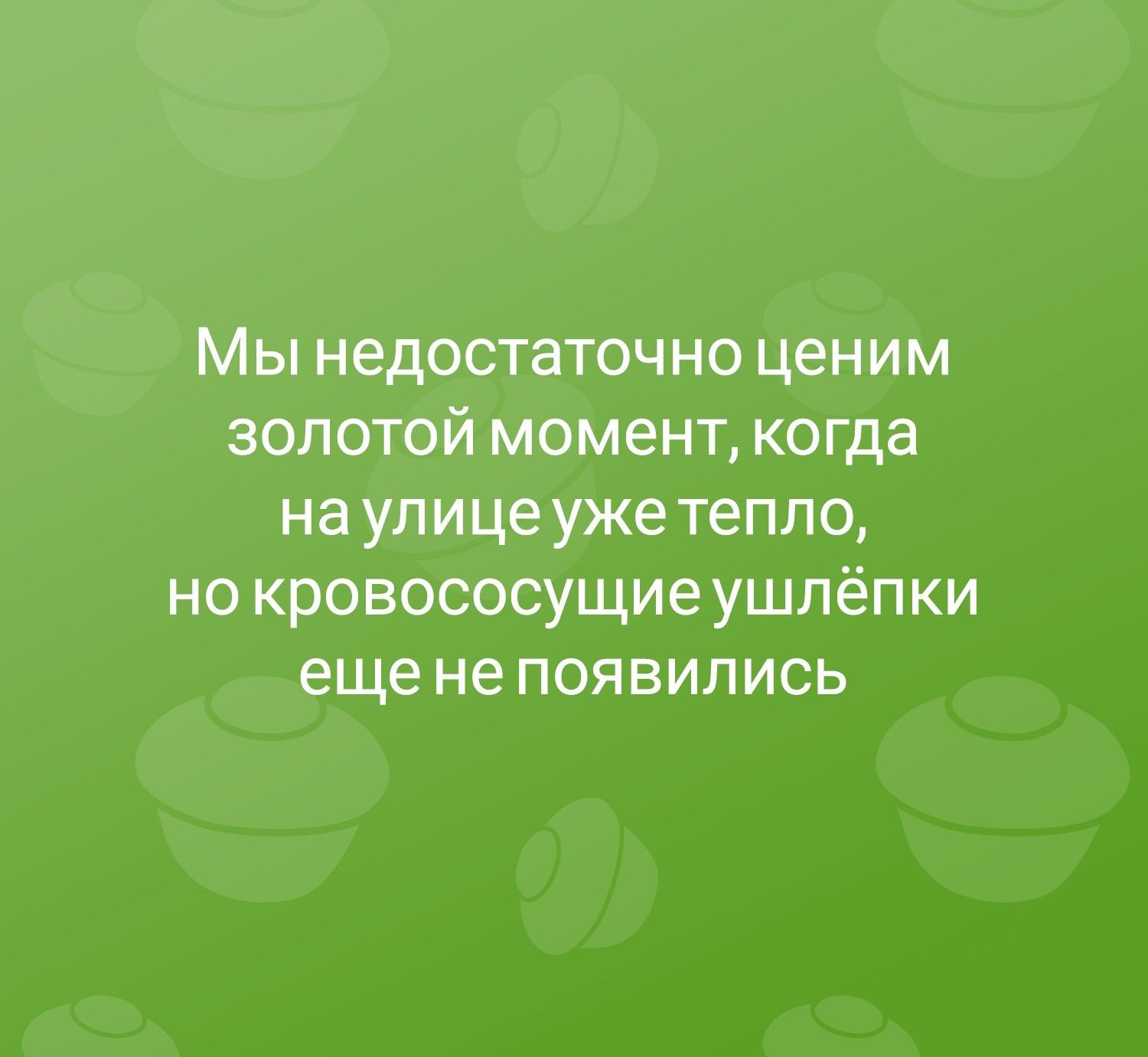 Мы недостаточно ценим золотой момент когда на улице уже тепло но кровососущие ушлёпки еще не появились