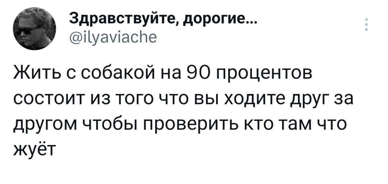 Здравствуйте дорогие Пуамасне Жить с собакой на 90 процентов состоит из того что вы ходите друг за другом чтобы проверить кто там что жуёт