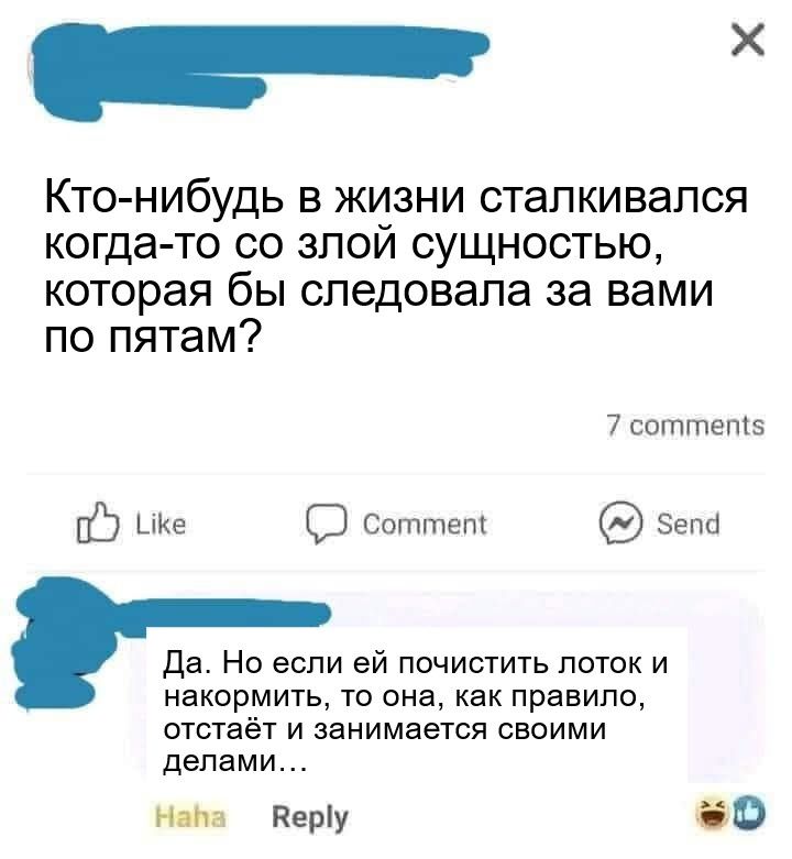 Р ай Кто нибудь в жизни сталкивался когда то со злой сущностью которая бы следовала за вами по пятам 7 соттеп5 07 ке СЭ соттеп зепа Да Но если ей почистить лоток и накормить то она как правило отстаёт и занимается своими делами Нава Веру К