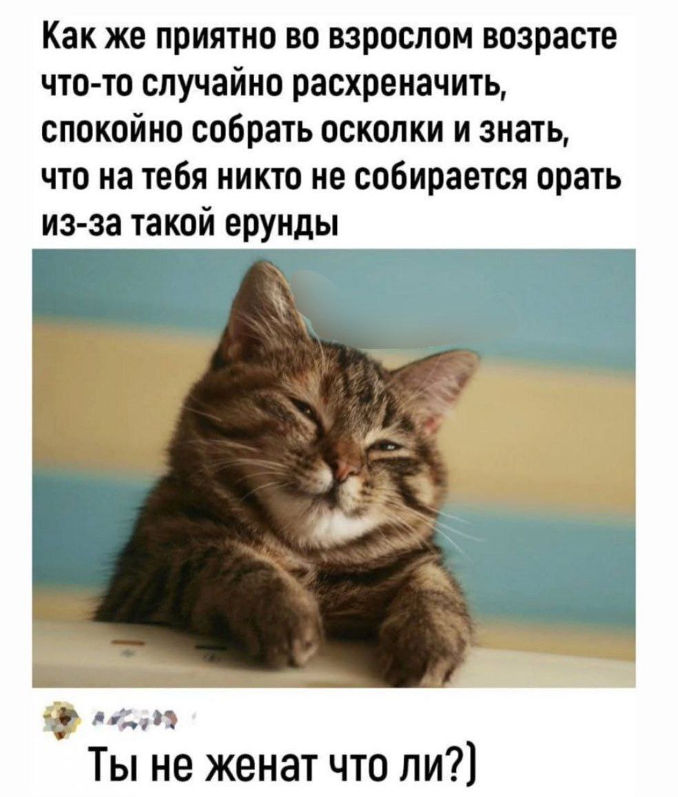 Как же приятно во взрослом возрасте что то случайно расхреначить спокойно собрать осколки и знать что на тебя никто не собирается орать из за такой ерунды па Ты не женат что ли