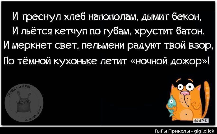 И треснул хлеб напополам, дымит бекон, И льётся кетчуп по губам, хрустит батон. И меркнет свет, пельмени радют твой взор, По тёмной кухоньке летит «ночной донор»!