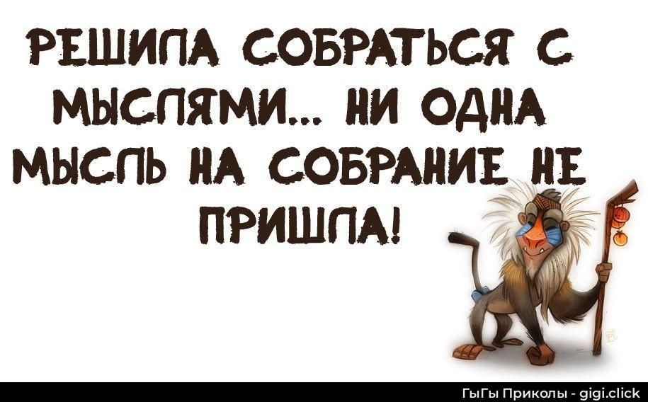РЕШИЛА СОБРАТЬСЯ С МЫСЛЯМИ... НИ ОДНА МЫСЛЬ НА СОБРАНИЕ НЕ ПРИШЛА!