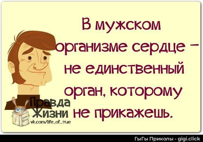 В мужском организме сердце – не единственный орган, которому не прикажешь.