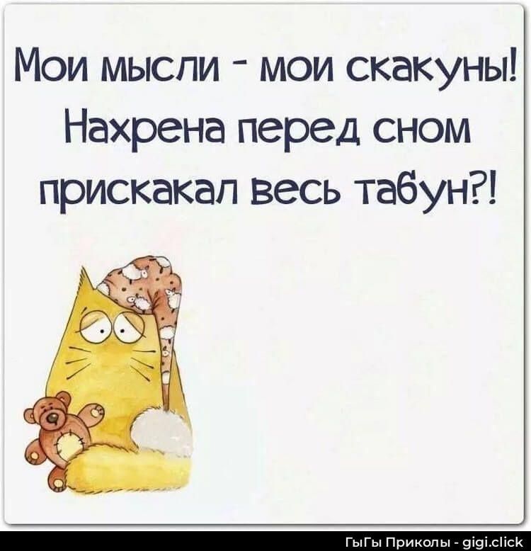 Мои мысли - мои скакуны! Нахрена перед сном прискакал весь табун?!