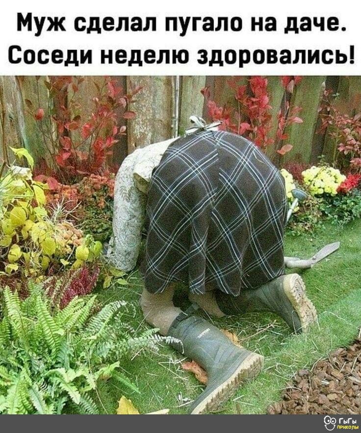Муж сделал пугало на даче Соседи неделю здоровались _ у