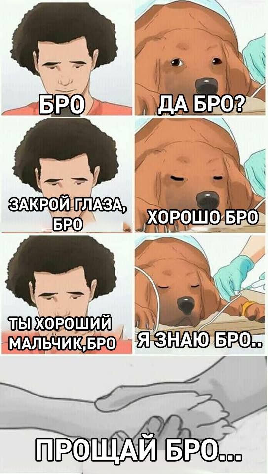 т_ а и ЗНАЮ ЙРФЩАЙ РФ