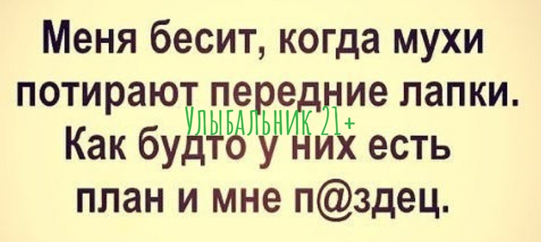 Меня бесит когда мухи поти ают пе е ие лапки Как дих есть план и мне пздец