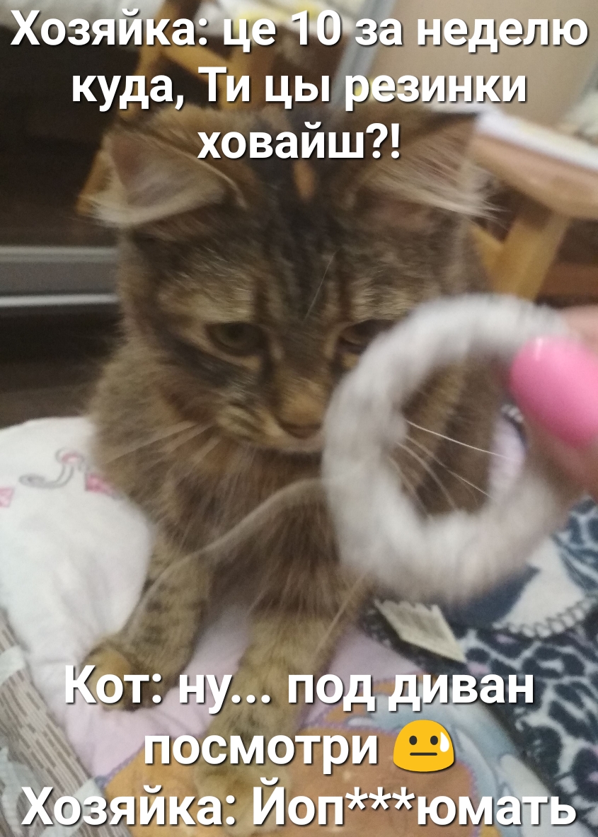 куда Ти цы ховайш