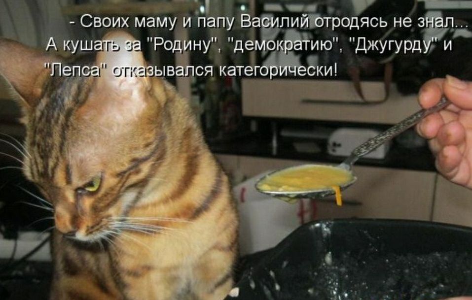лийЪтродясь не 3 то джугурд