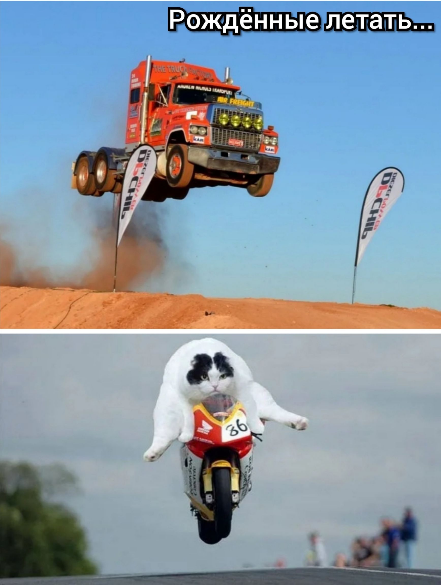 _