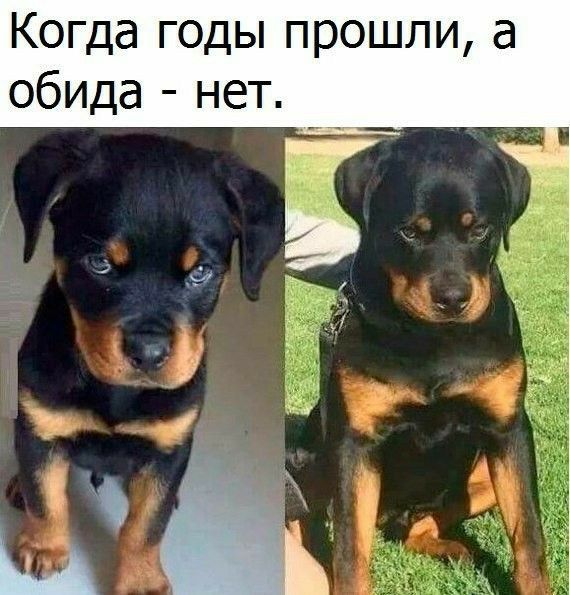 Когда годы прошли а обида нет