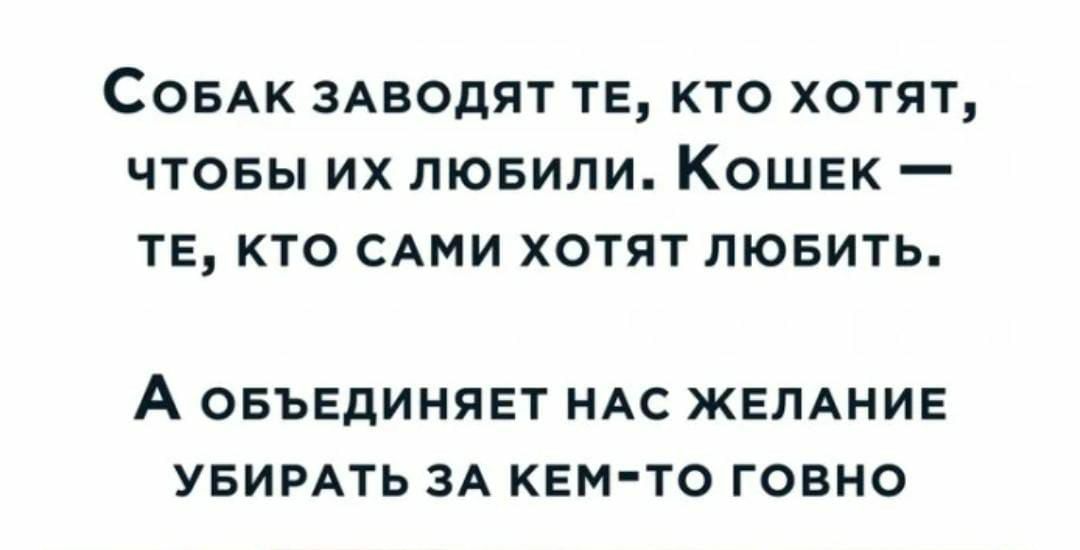 Совдк здводят те кто хотят чтовы их лювипи Кошек те кто САМИ хотят лювить А ОБЪЕДИНЯЕТ НАС ЖЕЛАНИЕ УБИРАТЬ ЗА КЕМ ТО ГОВНО