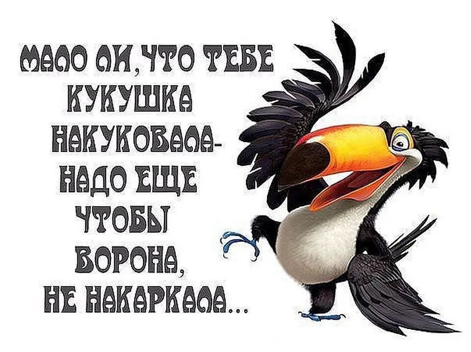 60 ОИНЧО ТЕБЕ КУКУШКА НАКУКОВБОА педо ЕЩЕ т чтовы ворона нв накажет