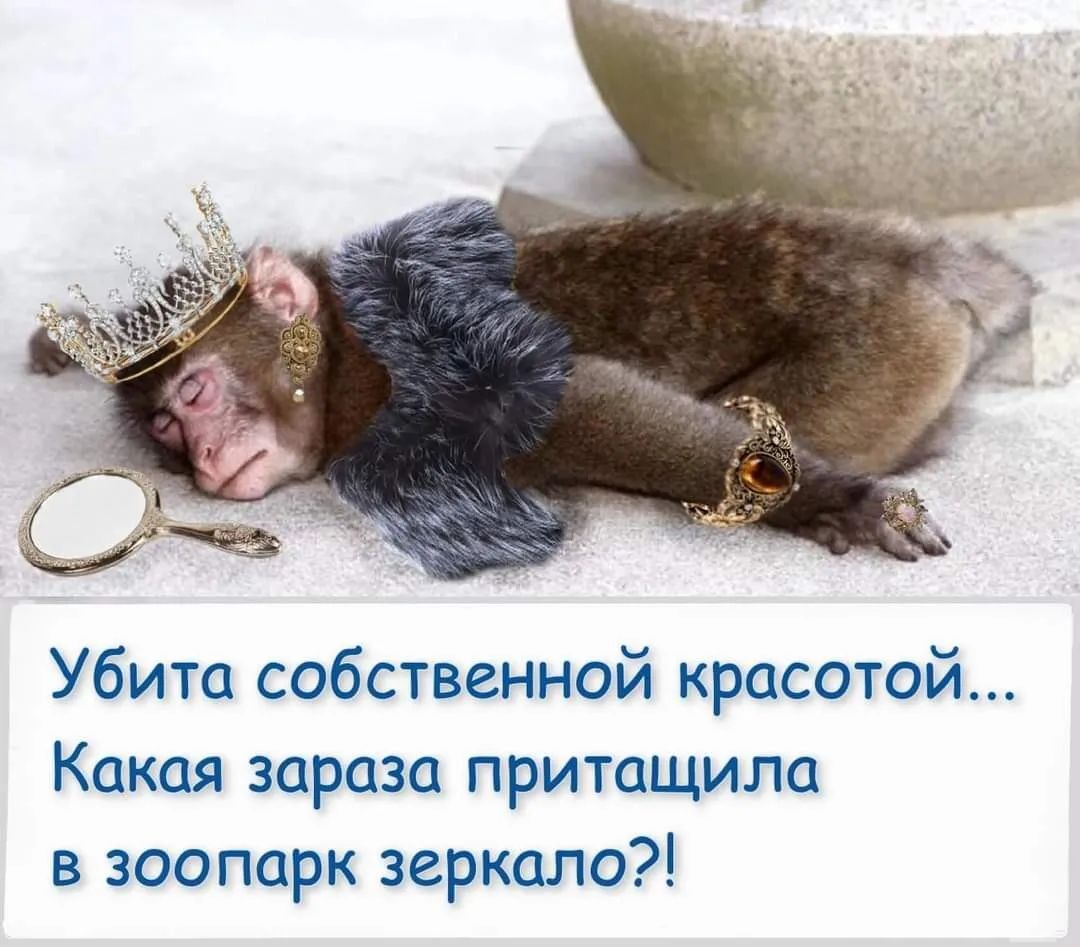 Убита собственной красотой Какая зараза притащила в зоопарк зеркало