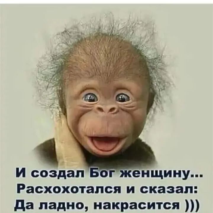 И создал енщину Расхохотапся и сказал да ладно накрасится