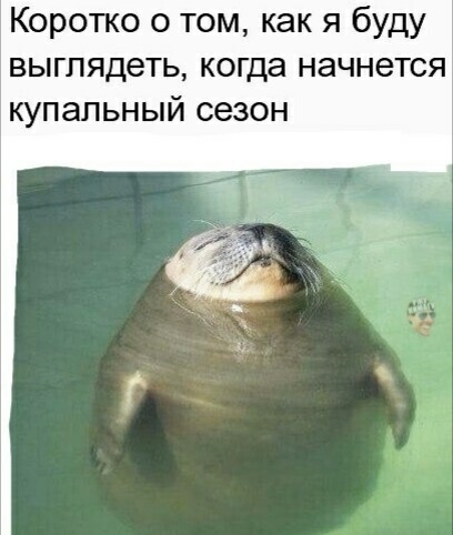Коротко о том как я буду выглядеть когда начнется купальный сезон