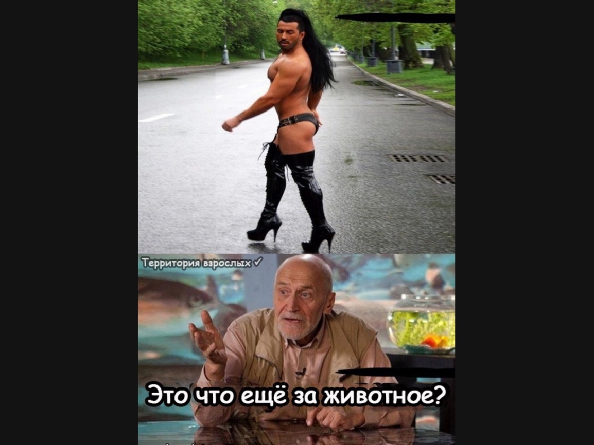 ім _ дд _ Это что ещё за животное в