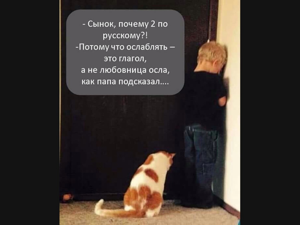 Сынок почему 2 по русскому Потому что ослаблять это глагол а не любовница осла как папа подсказал