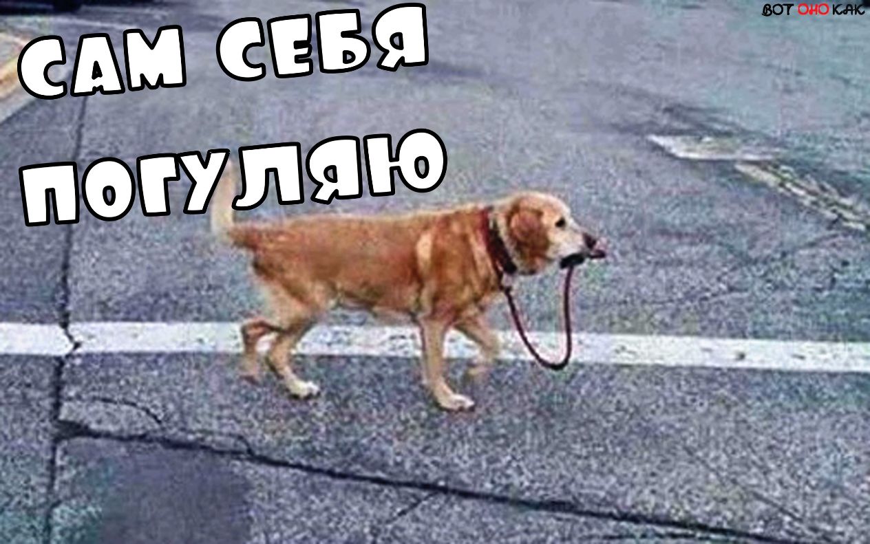 ___17 ны 33652