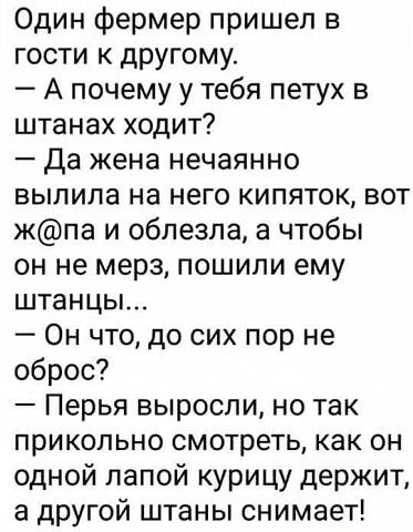 Один фермер пришел в гости к другому А почему у тебя петух в штанах ходит да жена нечаянно выпила на него кипяток вот жпа и облезпа а чтобы он не мерз пошипи ему штанцы Он что до сих пор не оброс Перья выросли но так прикольно смотреть как он одной лапой курицу держит а другой штаны снимает