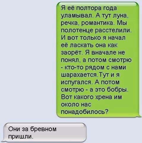 Они за бревном при шли Я её полтора года уламывал А тут луна речка романтика Мы полотенце расстелили И вот только я начал её ласкать она как заорёт Я вначале не понял а потом смотрю кто то рядом с нами шарахаетсяТут и я испугался А потом смотрю а это бобры Вот какого хрена им около нас понадобилось