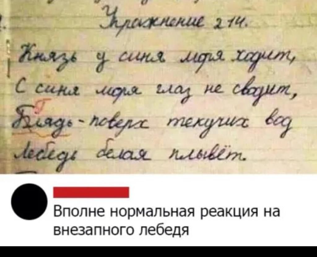 ВПОЛНЭ нормальная реакция Нд ВНЕЗдПНОГО лебедя