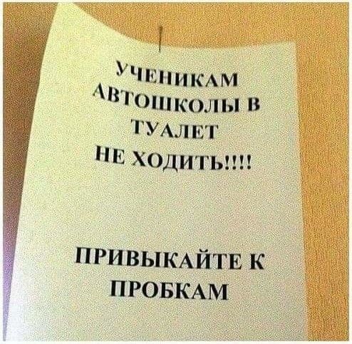 П и КАМ втОшколы в ТУАЛЕТ Е Ходиты Учи ПРИВЫКАЙТЕ к ПРОБКАМ