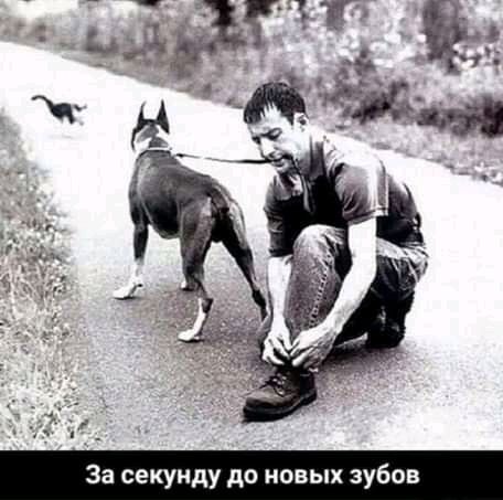 За секунду да новых зубов