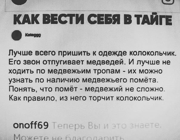 Щ кдк ввсти сввя в ТАЙГЕ и ин Лучше всего пришить к одежде колокольчик Его звон отпугивает медведей И лучше не ходить по медвежьим тропам их можно узнать по наличию медвежьего помёта Понять что помёт медвежий не сложно Как правило ИЗ него торчит КОПОКОПЬЧИК опоіі69 М ___1