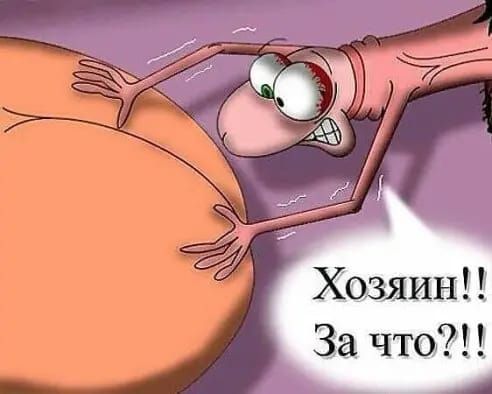 Хозяин За что