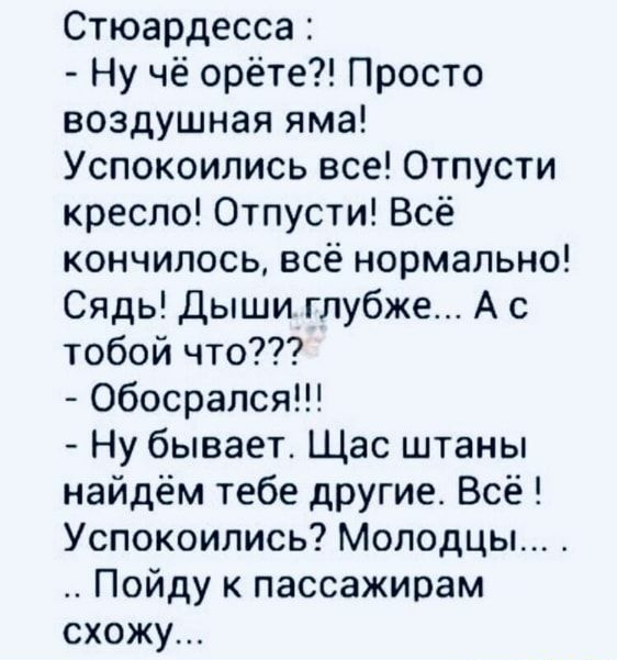 Стюардесса Ну чё орёте Просто воздушная яма Успокоились все Отпусти кресло Отпусти Всё кончилось всё нормально Сядь Дыши глубже А с тобой что Обосрался Ну бывает Щас штаны найдём тебе другие Всё Успокоились Молодцы Пойду пассажирам схожу