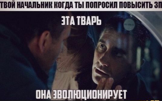 вой нпчппьпип иогдп ты попгооип повысить в ИА ШАРЬ ШМ ШШ ЦИПНИРУЕТ