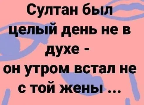 Султан был целый день не в духе он утром встал не с той жены
