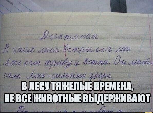 ЛЫЖЛ шт Л иш маш эммр м 400 или в Лимит юм ошкиа папа тУ