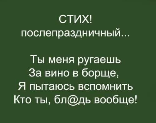 СТИХ послепраздничный Ты меня ругаешь За вино в борще Я пытаюсь вспомнить Кто ты блдь вообще