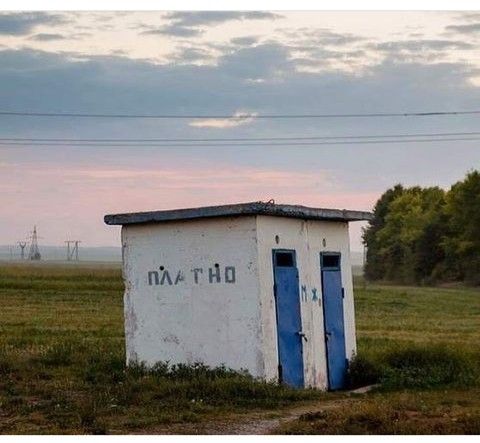 плетно