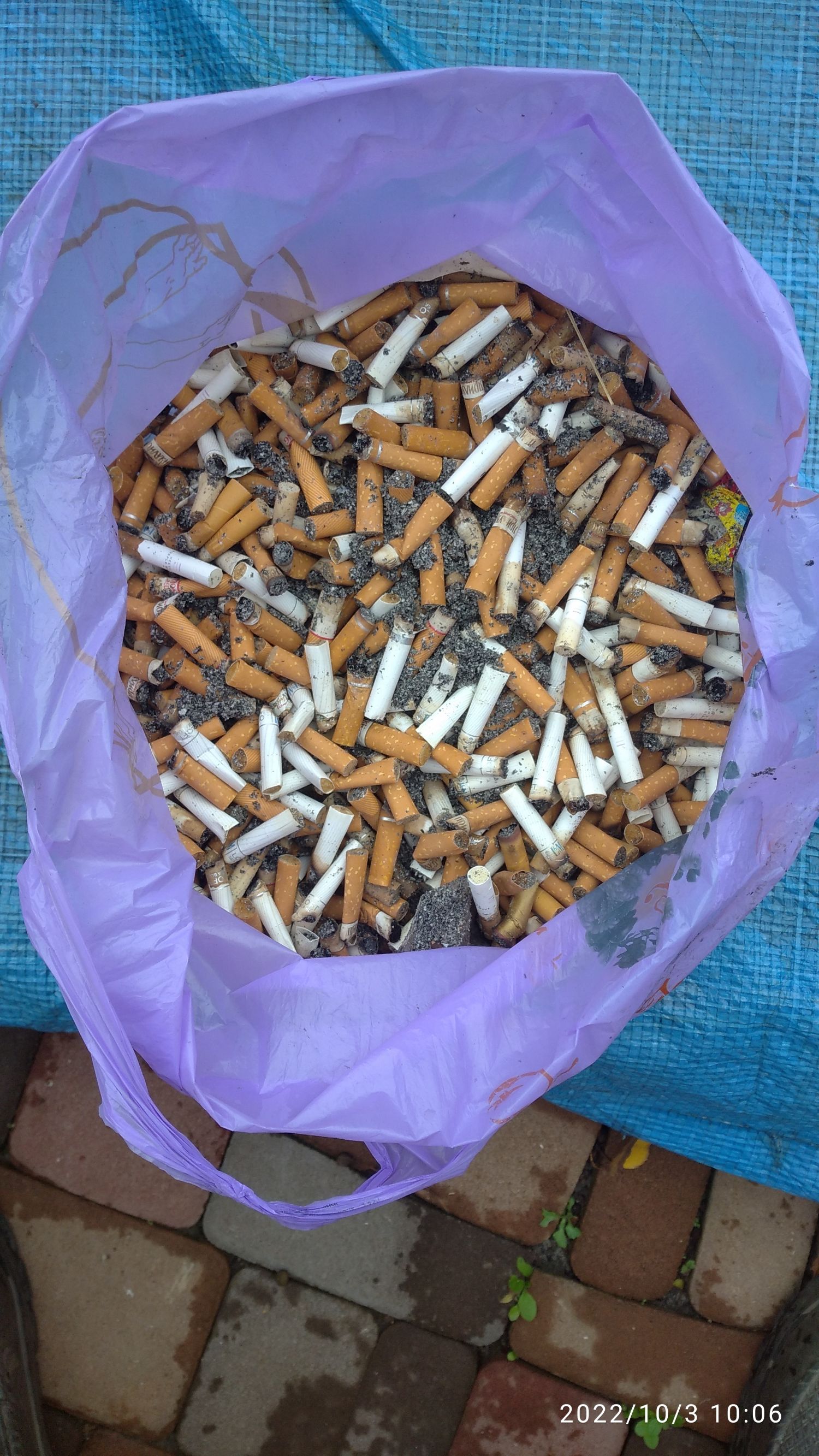 пива Н и 7 п 1