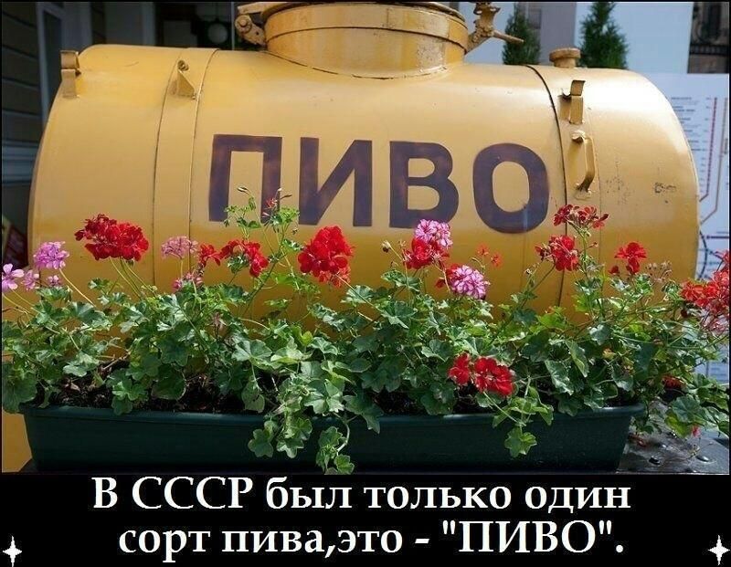 В СССР был только один сорт пиваэто ПИВО