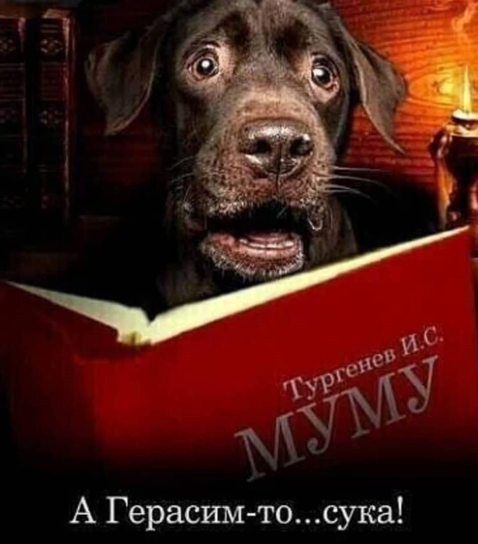 А Герасим тосука
