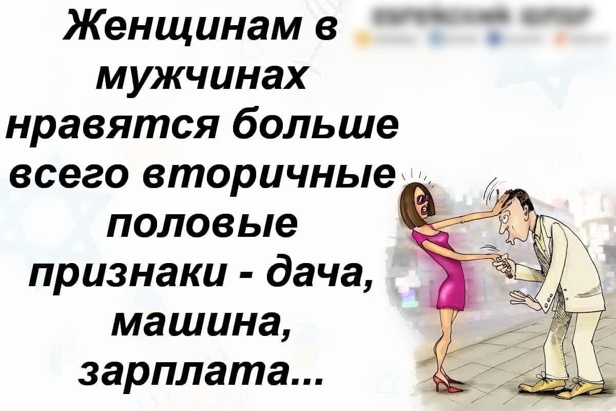 Женщинам 8 Ч ЧЁ мужчинах нравятся больше всего вторичные половые признаки дача машина зарплата