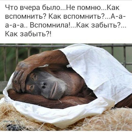 Что вчера былоНе помнюКак вспомнить Как вспомнитьА а а а а Вспомнипа1Как забыть Как забыть