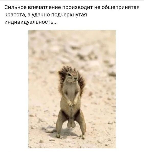 Сипьнпе впечатление прпивводит не общепринятая креста а удачна ппдчеркнутея иидивидуальносгь