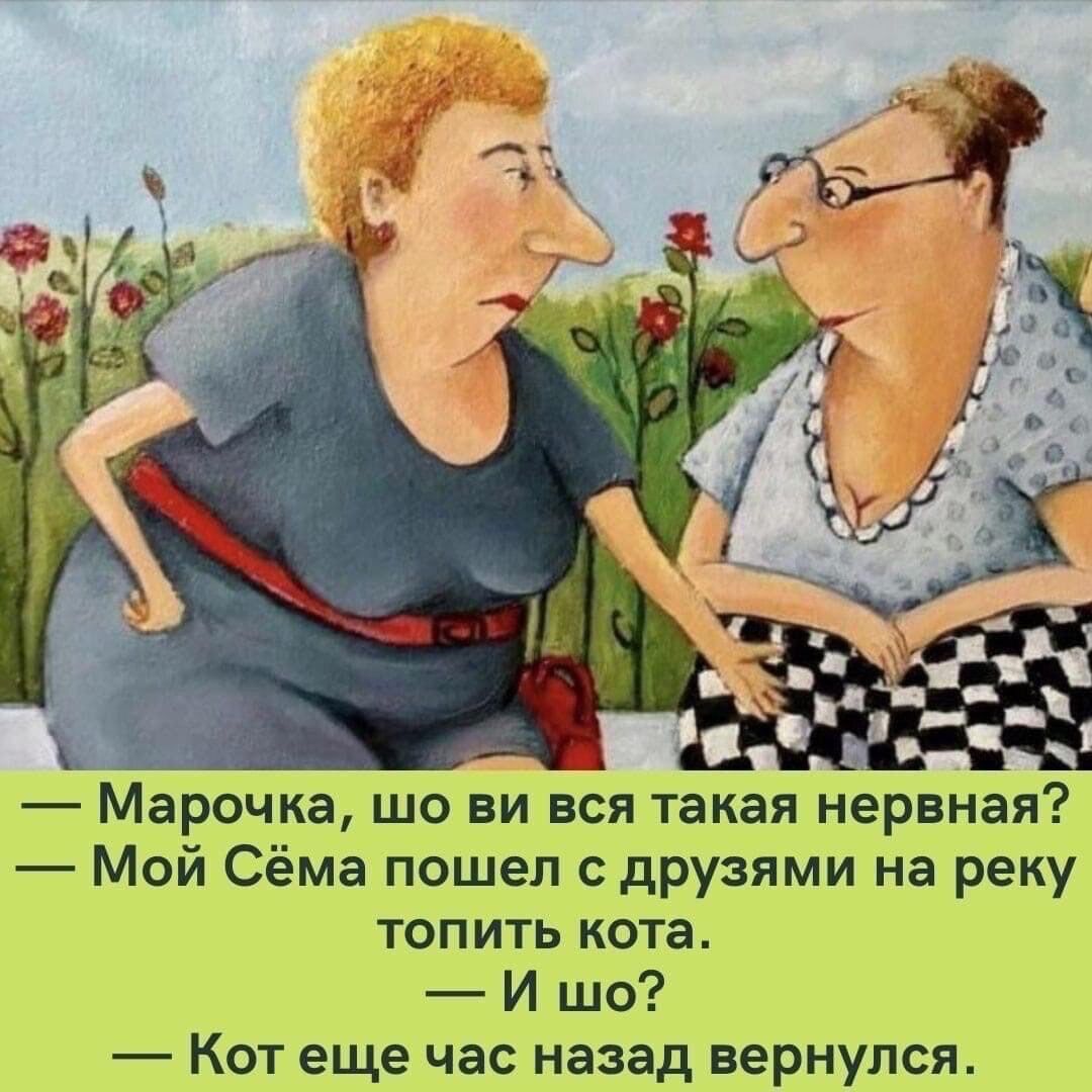 Марочка шо ви вся такая нервная Мой Сёма пошел друзями на реку топить кота И шо Кот еще час назад вернулся