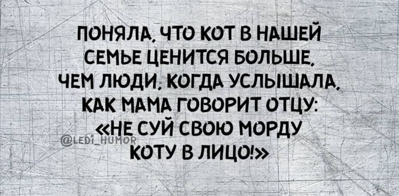 пеням что кот в нлшвй свпьв ценится БОЛЬШЕ чем люди когдд услышьлд кдк НАНА говорит отцу НЕ суй свою моРду коп в лица