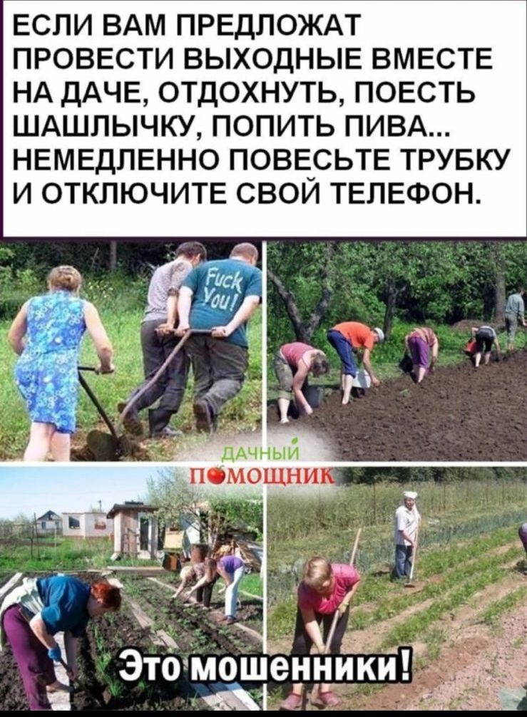 ЕСЛИ ВАМ ПРЕДПОЖАТ ПРОВЕСТИ ВЫХОДНЫЕ ВМЕСТЕ НА ДАЧЕ ОТДОХНУТЬ ПОЕСТЬ ШАШЛЫЧКУ ПОПИТЬ ПИВА НЕМЕДЛЕННО ПОВЕСЬТЕ ТРУБКУ И ОТКЛЮЧИТЕ СВОЙ ТЕЛЕФОН