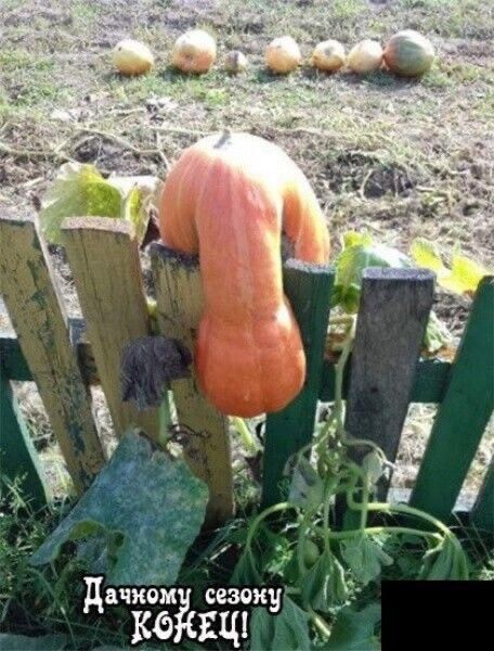 Ё 0 0230 д Ёйщ у