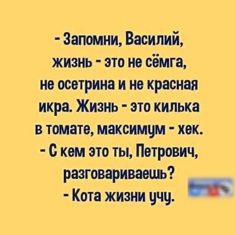 Запомни Василий жизнь это не сёмга не осетрина и не красная икра Жизнь это кипька в томате максимчм хвк с кем это ты Петрович разговариваешь Кота жизни цчц