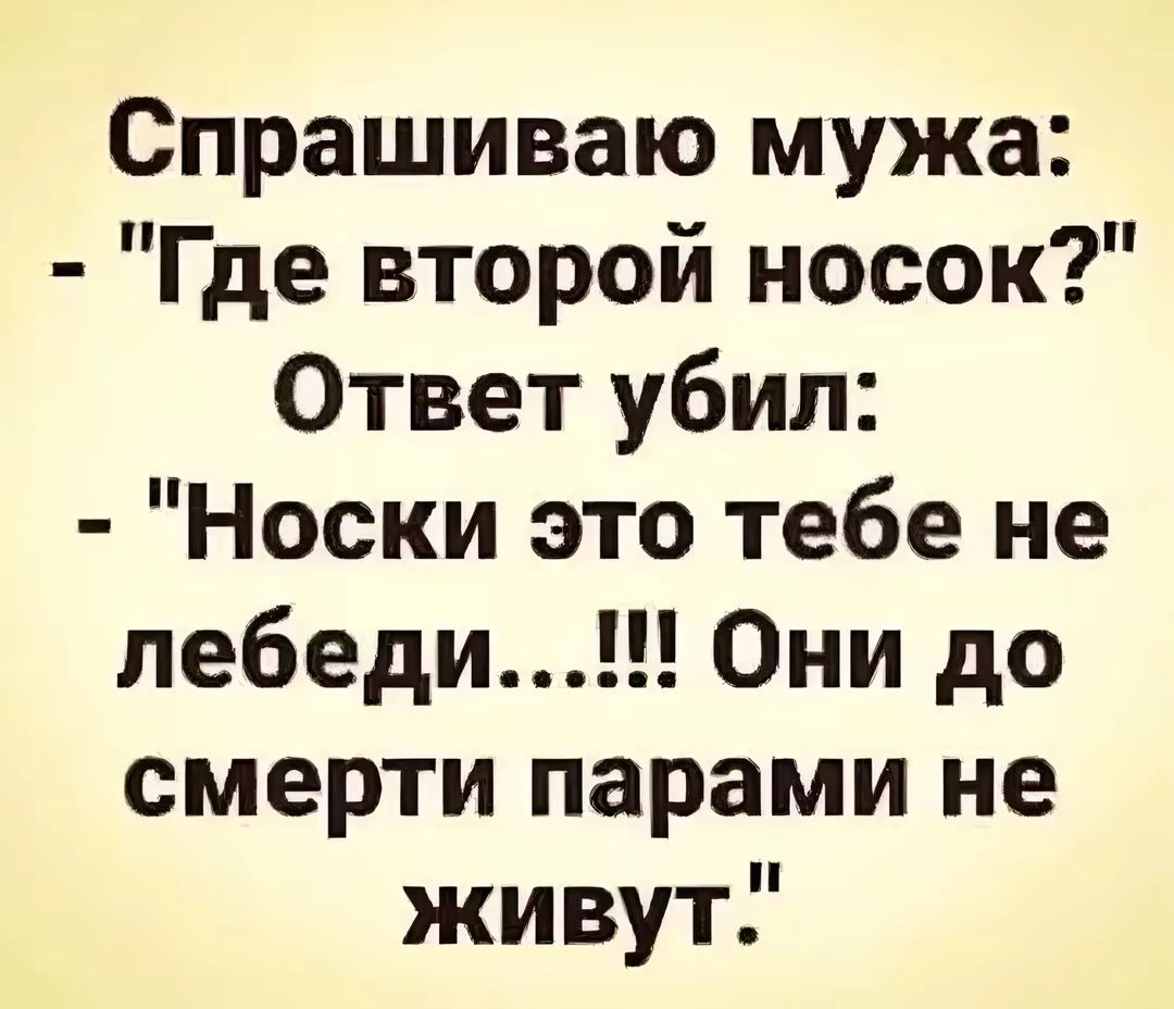 Спрашиваю мужа Где второй носок Ответ убил Носки это тебе не лебеди Они до смерти парами не живут