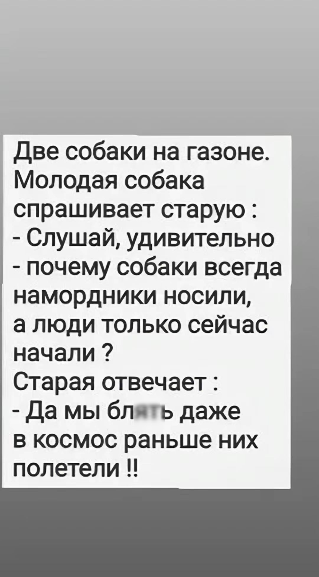 Две собаки на газоне Молодая собака спрашивает старую Слушай удивительно почему собаки всегда намордники носили а люди только сейчас начали Старая отвечает Да мы блять даже в космос раньше них полетели